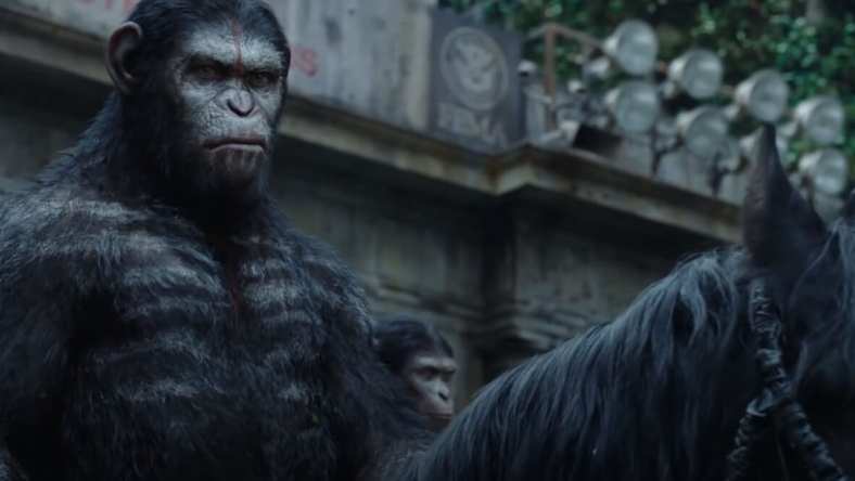 Caesar, the leader of the apes rides a top a black horse his face is stern and covered in war paint, crudely painted rib bones are streaked across his chest.