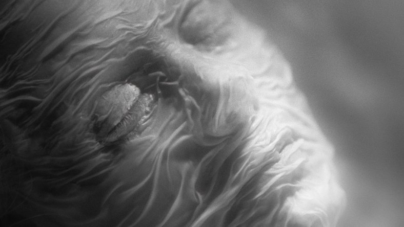 A black and white still from the film Else featuring a woman's face covered in a wet sheet